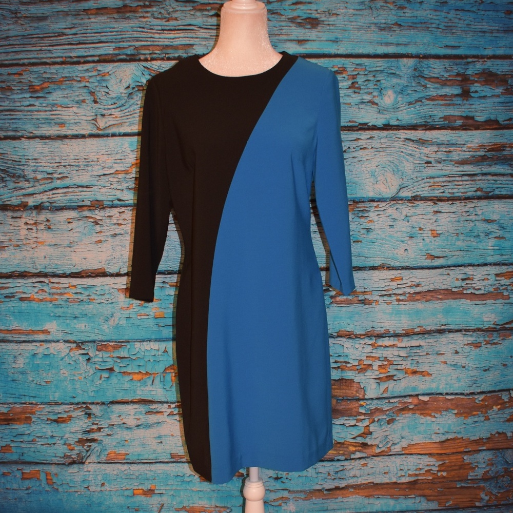 Ann Taylor Black And Blue Color Block Dress